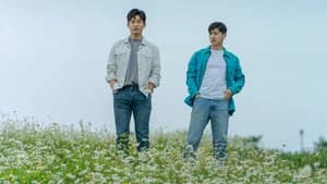 Finding Ha Neul