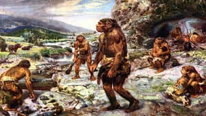 Neanderthals, a Drama From 35,000 Years Ago