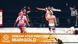 Marigold Battle Heart 2026 ~ Day 4