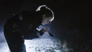 Episode 13