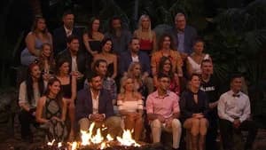 Survivor Reunion