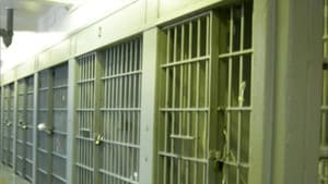 Sex Offenders