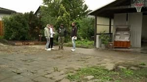 From concrete courtyard to dream garden
