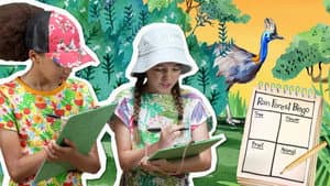 Rainforest Bingo