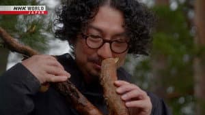 Essence of the Forest
