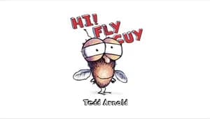 Hi Fly Guy