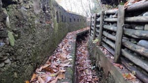 In the Trenches of the Great War