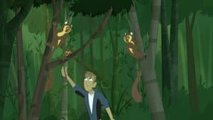 Golden Bamboo Lemur