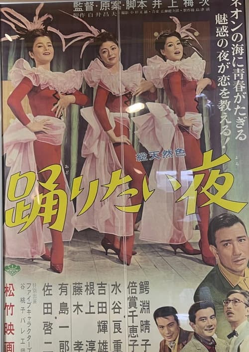 The Night We Danced (1963) poster