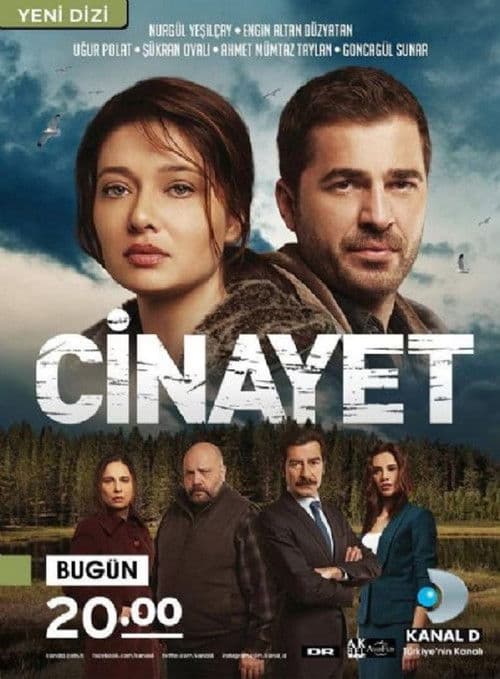 Cinayet (2014) poster