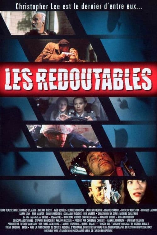 Les Redoutables (2001) poster