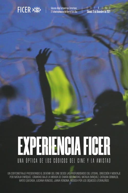 Experiencia FICER (2021) poster