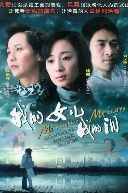 我的女儿我的泪 (2009) poster