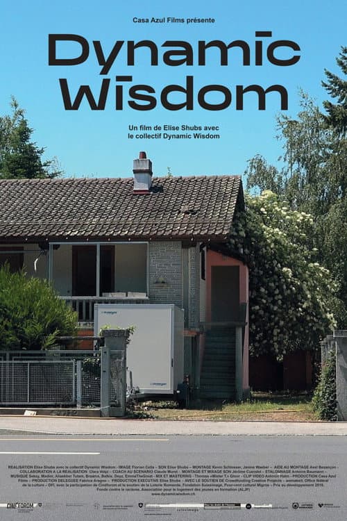 Dynamic Wisdom (2022) poster