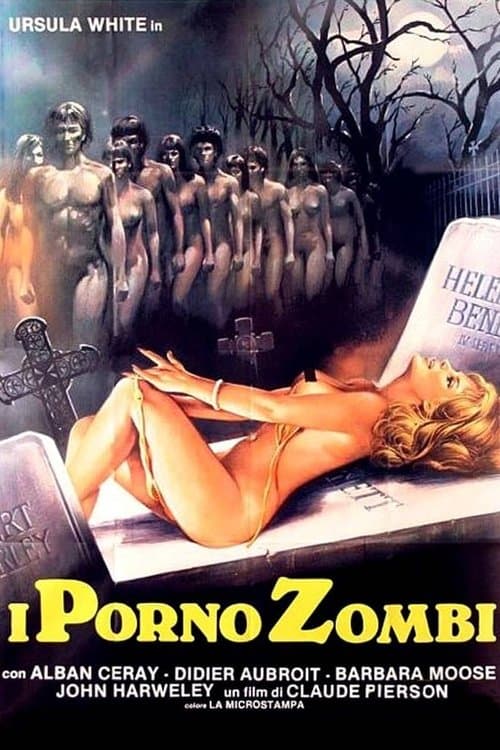 The Girl in the Fur Coat (1978) poster