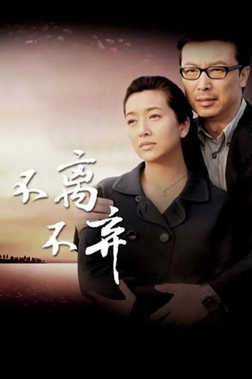 不离不弃 (2009) poster