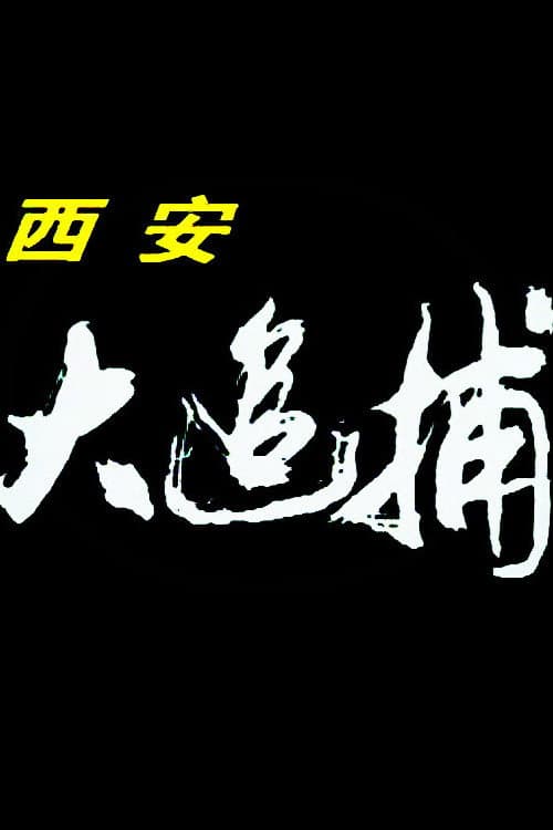 Xi 'an Great Chase (1996) poster