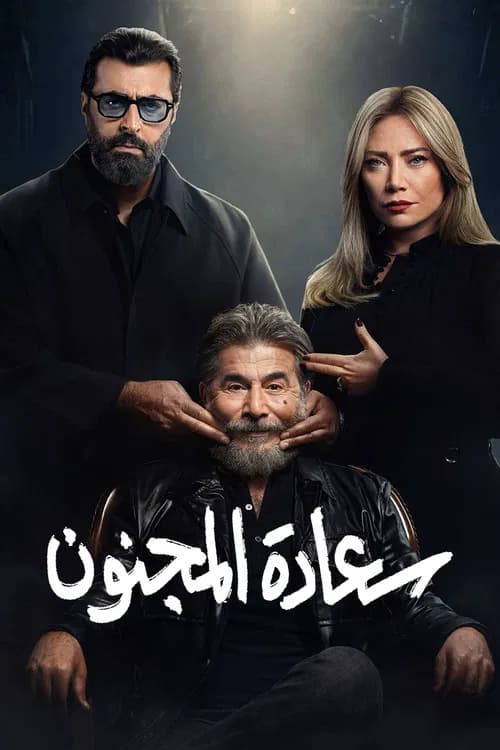 His Excellency the Madman poster