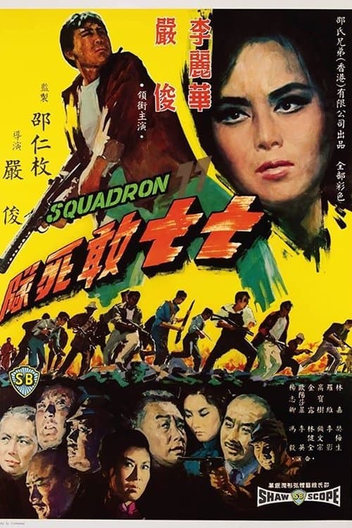 Squadron 77 (1965) poster
