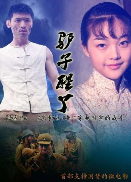驴子醒了 (2012) poster