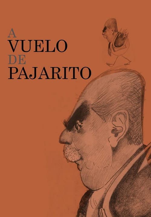 A vuelo de pajarito (2014) poster