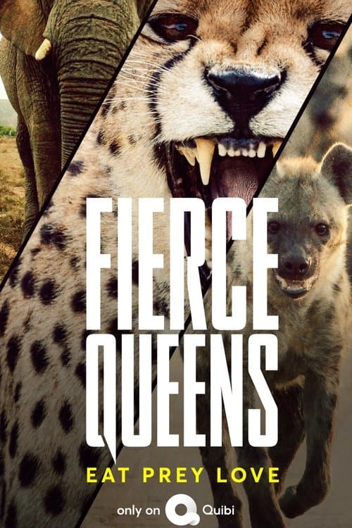 Fierce Queens (2020) poster