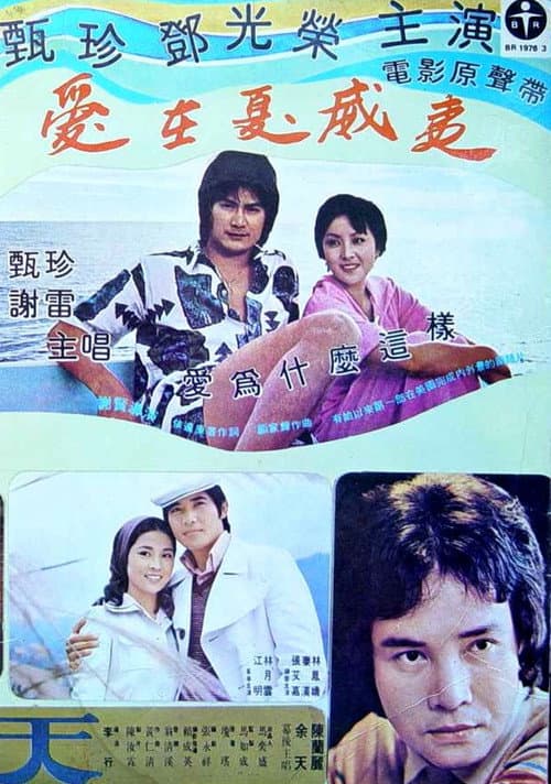 Love in Hawaii (1976) poster