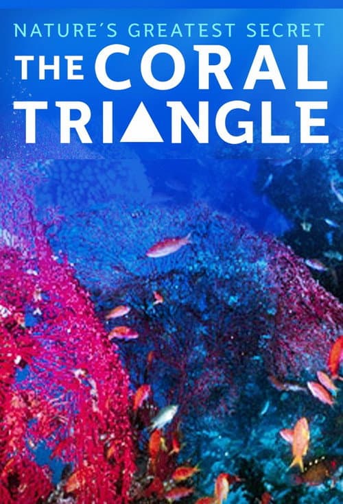 Coral Triangle poster