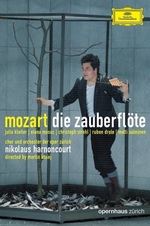 Die Zauberflöte (2007) poster