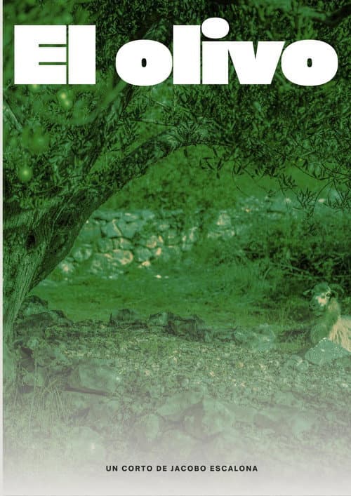 EL OLIVO poster