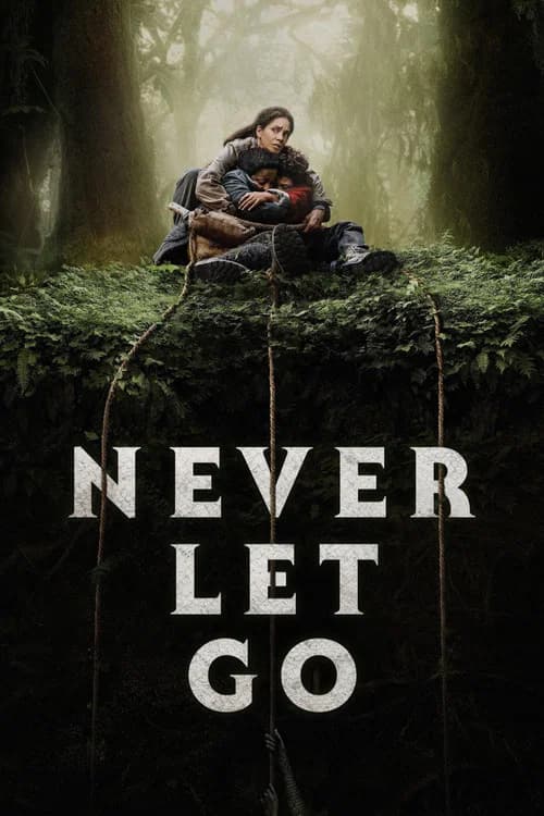 Never Let Go (2024) poster
