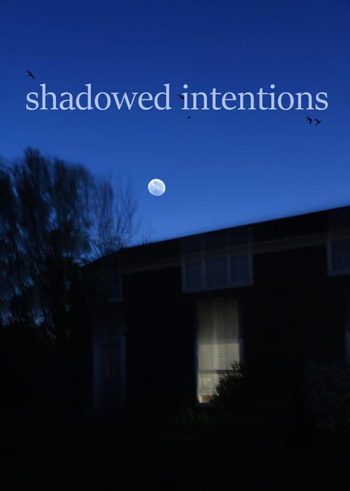 shadowed intentions (2024) poster