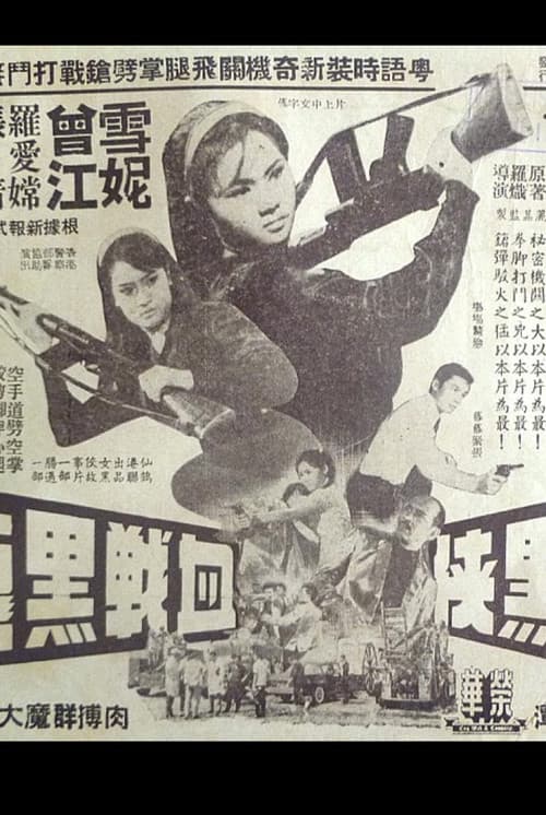 The Woman in Black and the Black Dragon poster