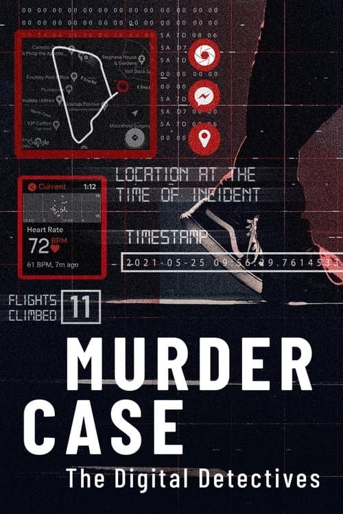 Murder Case: The Digital Detectives (2024) poster