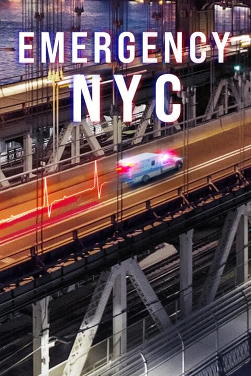 Emergency: NYC (2023) poster
