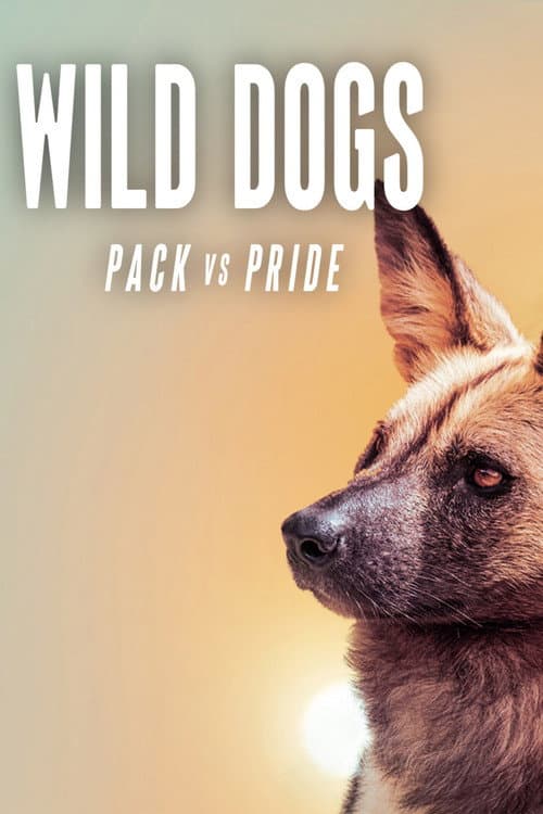 Wild Dogs: Packs Vs. Pride poster