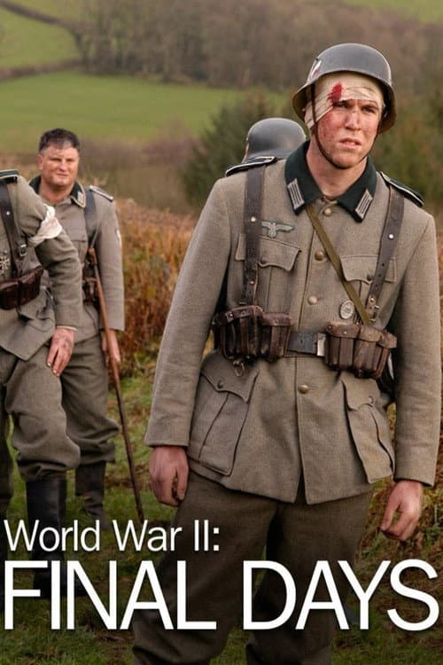 World War II: Final Days (2014) poster