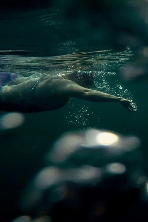 Open Water poster