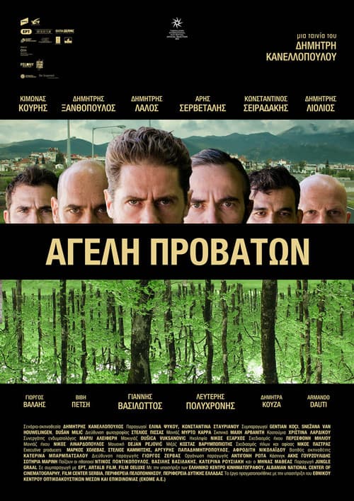 Pack of Sheep (2022) poster