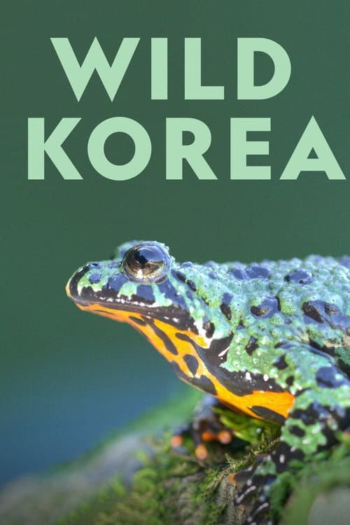 Wild Korea (2019) poster