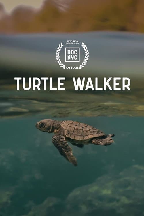 Turtle Walker (2024) poster