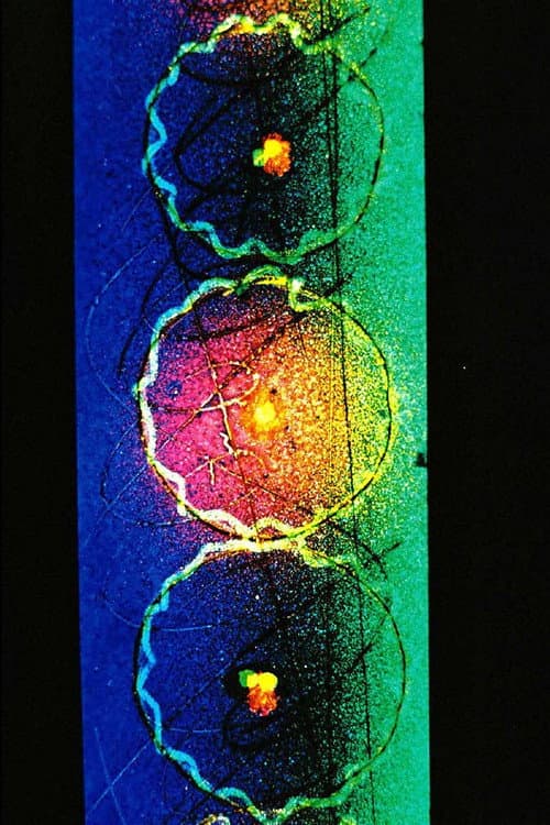 Linear Dreams (1997) poster