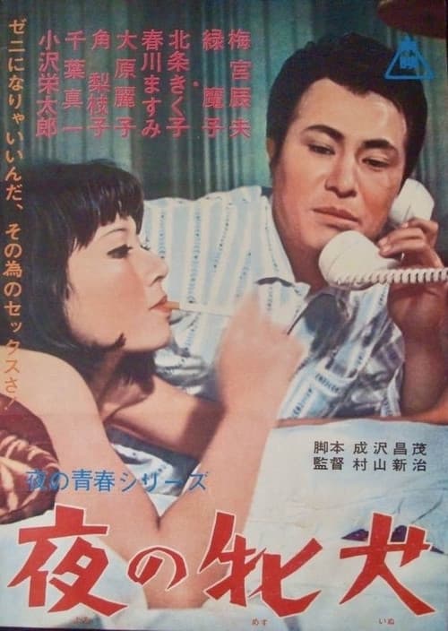 Night Bitch (1966) poster