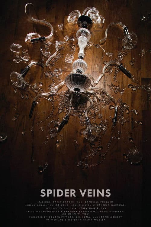 Spider Veins (2016) poster