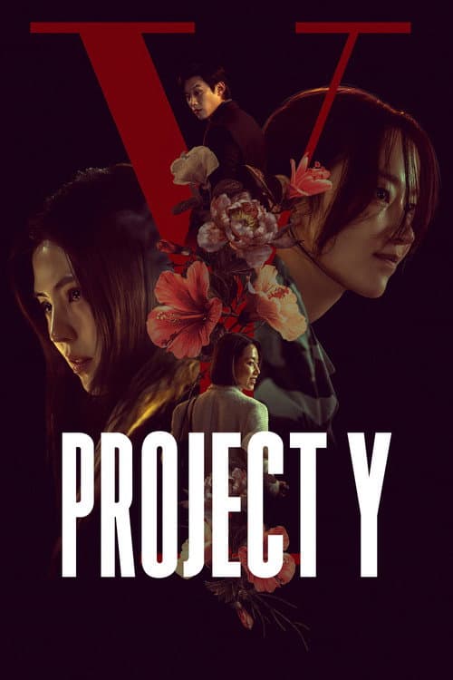 Project Y (2026) poster