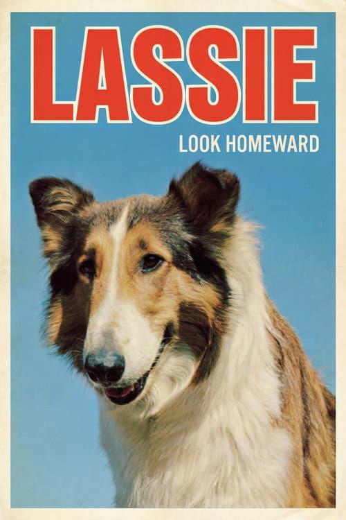 Look Homeward (1965) poster