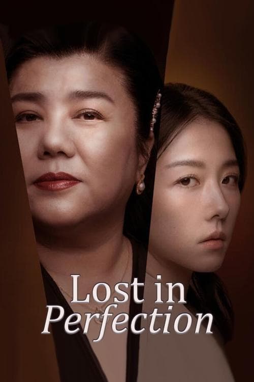 Lost in Perfection (2023) poster