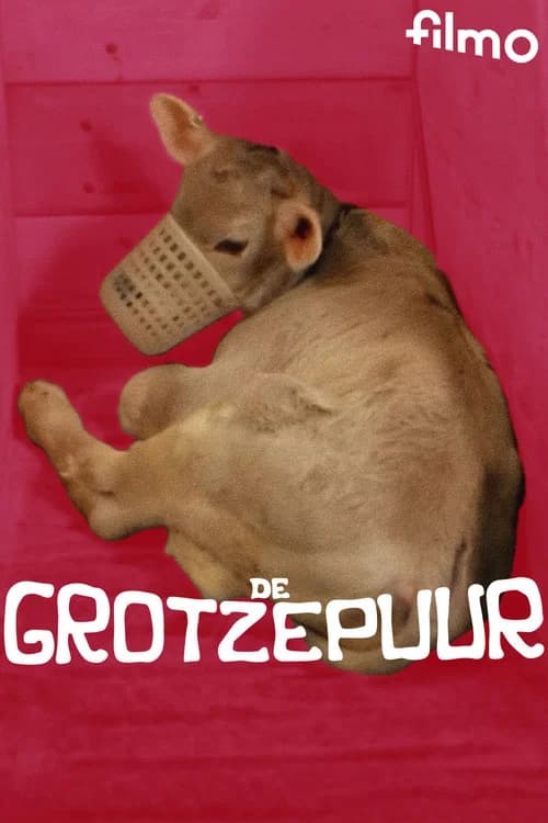 De grotzepuur poster