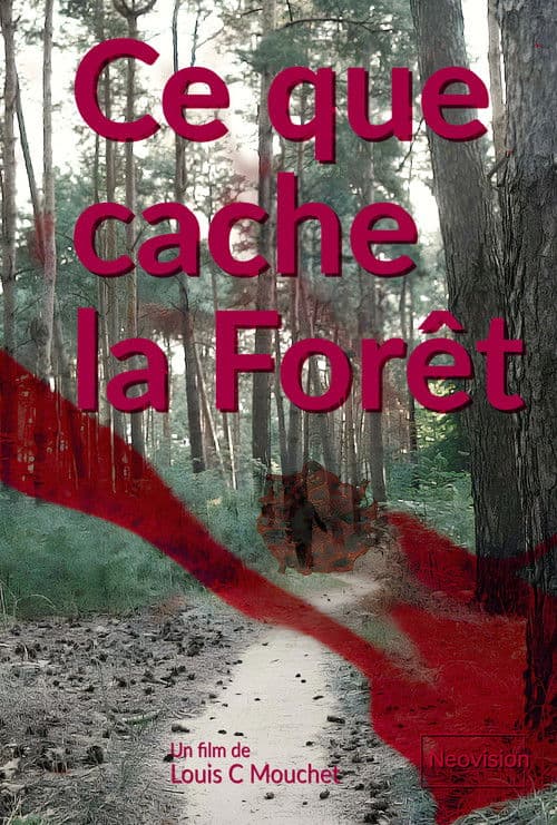 What the Forest conceals poster