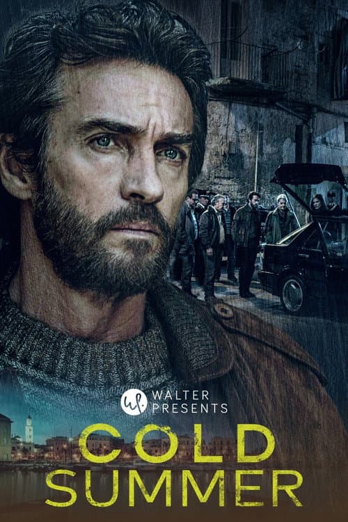 The Fenoglio Method - The Cold Summer (2023) poster